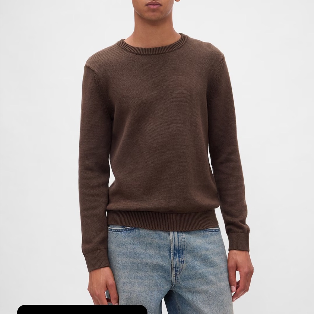 GAP Men Blue & Chocolate Crewneck Sweater $13 each (MAKE AN OFFER) or 2 for $20